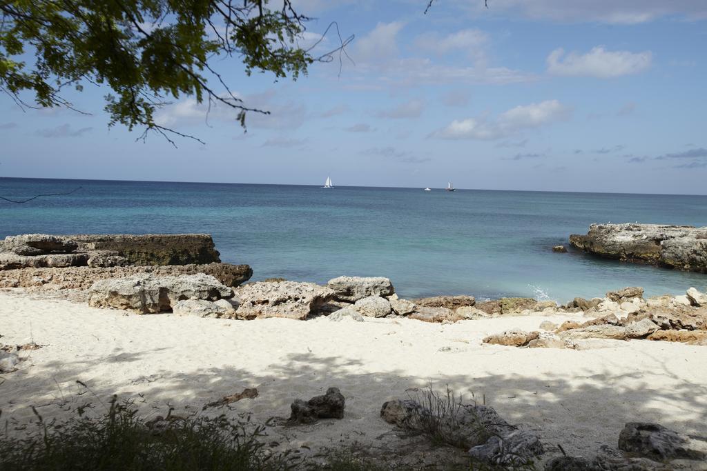 Villa Bougainvillea Aruba, The Tango Suite Palm Beach Exterior photo