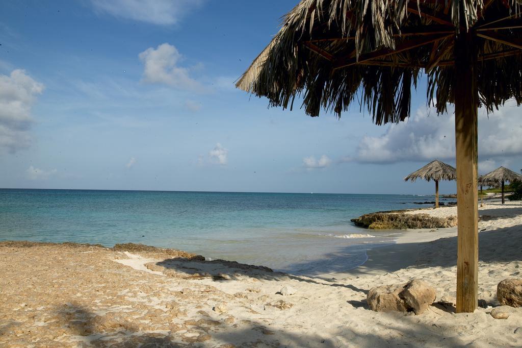 Villa Bougainvillea Aruba, The Tango Suite Palm Beach Exterior photo